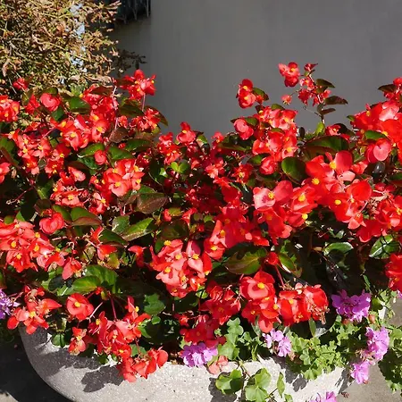 Garni Hoechschmied 3*