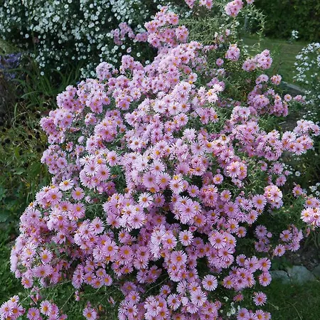 Hotel Garni Höchschmied 3*