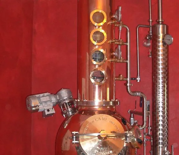 酒店 伽尔尼豪斯海姆德酒店 拉斯尼茨霍