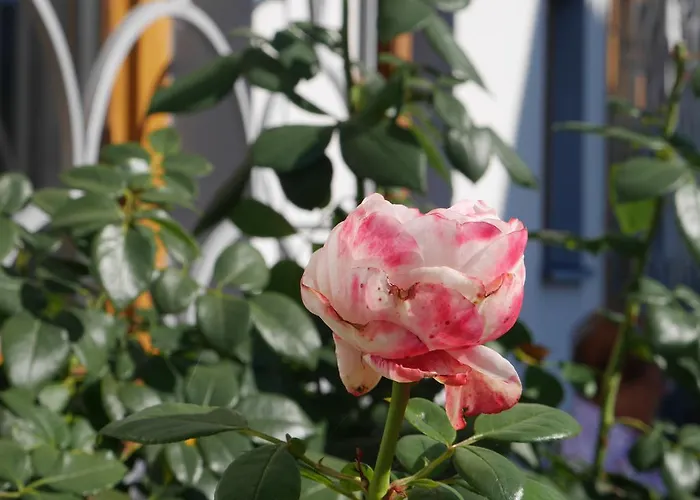 Garni Hochschmied Lassnitzhoehe