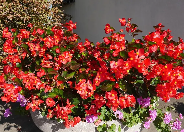 伽尔尼豪斯海姆德酒店 3*